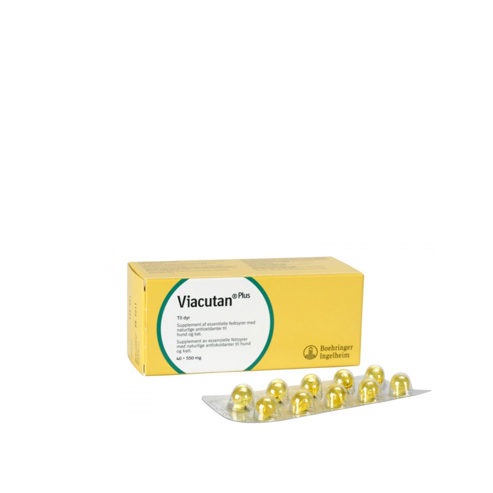 Viacutan Plus Συμπλήρωμα Διατροφής για το Δέρμα (40 κάψουλες)