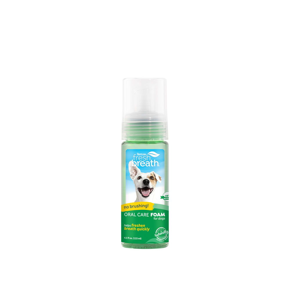 TropiClean Enticers Teeth Cleaning Gel & Toothbrush Peanut Butter & Honey Flavor Large Dogs