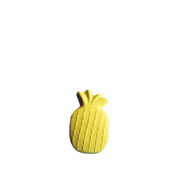 Happypet Fruity Mineral Pineapple 9.5cm
